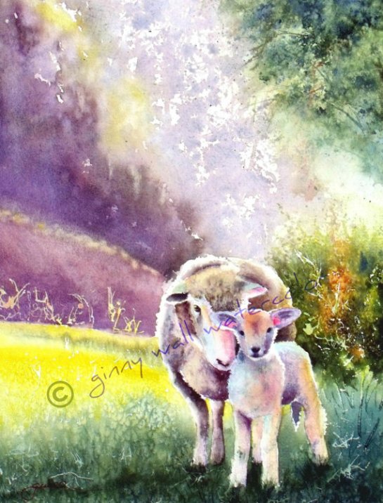 SHEEP with LAMB Matted Print from Watercolor by Ginny Wall